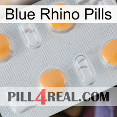 Blue Rhino Pills 24